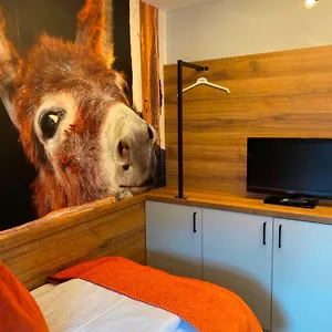 visit hotel